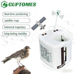 China IP67 Waterproof Small GPS Tracker For Birds 5.4g Ultra Light With Dual Charging Method wholesale
