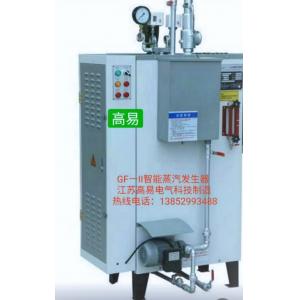 China New design small Cheap industry electric heating steam boiler for car cleaning supplier