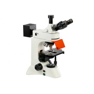 WF10X/22mm Led Fluorescent Microscope Inverted 4X 10X 360 Degree