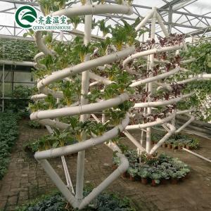 China PO Film Double Layer Hydroponic Container for Superior Plant Growth Results supplier
