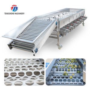 加工 生産 検査 分類 果物 野菜 洋食 サイコ パキモン リンゴ じゃがい テンダリン パッション フルーツ アボカド チェリー マンゴー 梨 バナナ マンゴスチーン キウイ フルーツ 果物 選別機