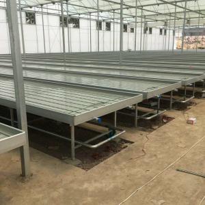 China Seedbed Ebb And Flow Rolling Benches Farming Agricultural Equipment Support supplier