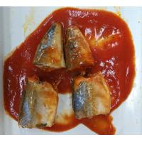 China Soft Taste Mackerel Canned Fish / Tinned Mackerel In Tomato Sauce No Impurity on sale