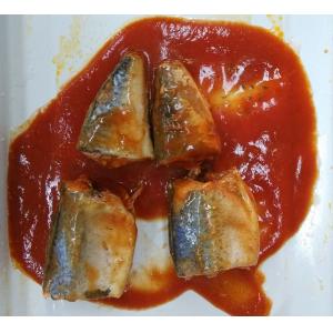 Soft Taste Mackerel Canned Fish / Tinned Mackerel In Tomato Sauce No Impurity