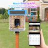 Automatic Bird Watch Camera Auto Capture Videos Pictures Ai Identify Birdcam