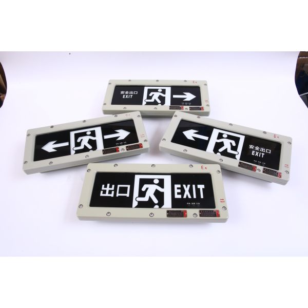 Customizable 3W Anti-Explosion Emergency Exit Sign LED Light Source for Chemical Plants & Mining Operations