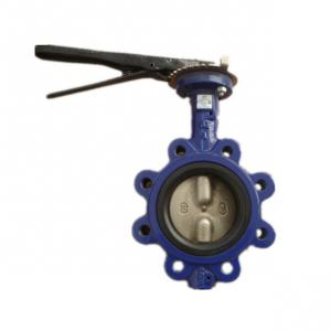 China Two Shaft Butterfly Valve Flange Type Ptfe U Type For Regulating Water Pressure supplier