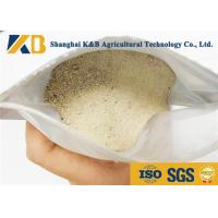 China Organic Rice Protein Powder Promote Poultry Development Save Cost And Energy on sale