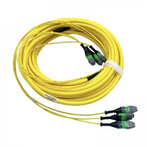 China KEXINT FTTH MTP PRO G657A2 36 Cores Fiber Optic Patch Cord 15m 20m 30m supplier