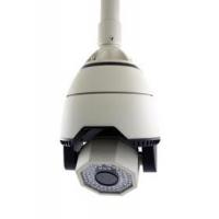 1/3" 650TVL CCD 24VAC CCTV Dome Cameras PELCO D / PELCO P For Villadom