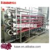 China Turnkey SUS304 Pomegranate Juice Extraction Machine Concentrated Juice Processing Line wholesale