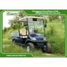 Blue 48v 3.7kw 2 Seat Electric Utility Golf Cart / Buggy Club Car