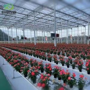 Customization Juxiang Greenhouse's Customizable Commercial Film and Glass Greenhouse