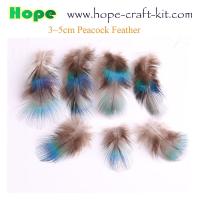 China Peacock feathers, goose feathers, turkey chicken feathers for hobbies and children kids STEM hand-crafted DIY material on sale