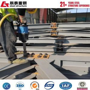 China Custom Steel Truss Bridge with Hot-Dipped Galvanized Finish wholesale