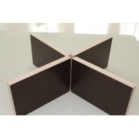 China Double Sided Prefinished Plywood Panels / Eco Friendly Film Faced Birch Plywood Sheets on sale