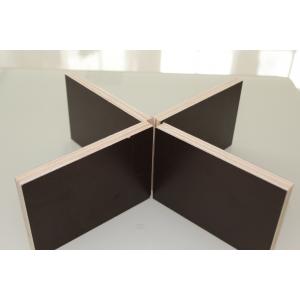 Double Sided Prefinished Plywood Panels / Eco Friendly Film Faced Birch Plywood Sheets