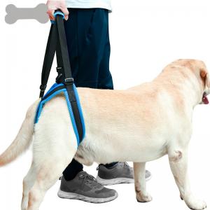 Auxiliary Belt Leg Support Pet Harness Leash For Disability Injury High Aged Dog