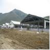 China Structural Steel Poultry House for Pig or Goat Barns with high standard quality wholesale