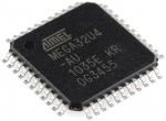 Integrated Circuit Chip