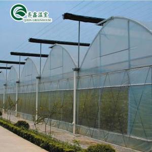 PE Grow Bags and Automatic Control System Ideal for South Korea Agricultural Greenhouse