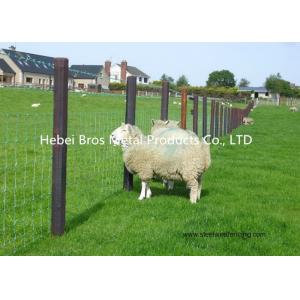 Hot Dipped Galvanized Field Fence , High Tensile Woven Wire Fence Rolls