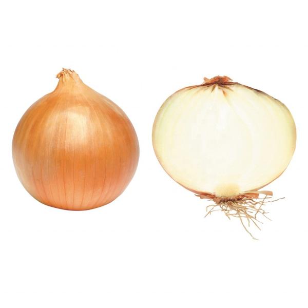 2023 new crop of brand fresh onions red and yellow onion white price per ton in China from Chinese onion seeds
