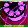 1/2" 2 wire round led lighting rope