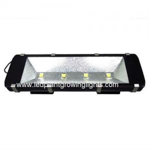 China Waterproof Green 200W High Power Led Flood Light 6000K For Garden Outside Lights supplier