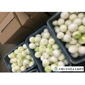 Natural Fresh Onions , Fresh White Onion Suitable Dry Storage Environment