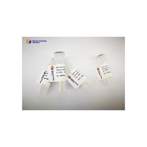 Recombinant Glutathione S Transferase Tag Antibody from Antigen Affinity Purification