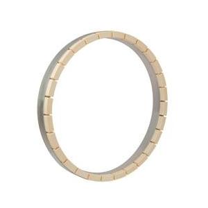 China Speedfam NTS Alumina Ceramic Ring High Hardness Grinding Ring supplier