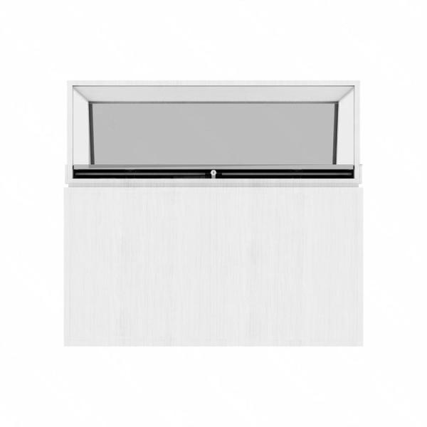 48 Inch High Definition Oled See Through Screen Transparent Oled Panel