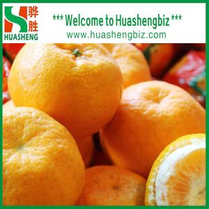 China Chinese Fresh Mandarin Orange/Lugan Mandarin supplier