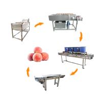China Hot selling Fresh Corn Kernel Drum Screening And Cleaning Machine by Huafood on sale