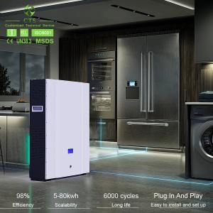 Power Wall Home Energy Storage Lithium Ion Battery Solar System 48v 100ah 5kw 10kw
