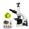 China BM300PHB Cost efficient binocular bacteria phase contrast microscope for transparent specimens water treatment wholesale
