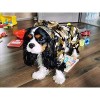 China Reflective Puppy Small Dog Rain Coat , Soft Breathable Waterproof Dog Jacket on sale