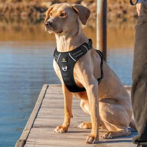 Pet Supplies Upgrade No Pull Dog Harness Adjustable Soft Padded Harness Dog with Quick Release Neck Buckle