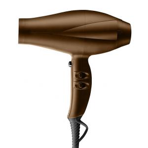 China Far Infrared Ray Ceramic Low Noise Hair Dryer Double Voltage With Ionic Function supplier