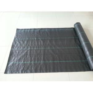 China Black Color Weed Control Fabric, Ground Cover, PP woven Fabric, 2m x 100m/roll supplier