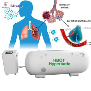 2.0ATA オールインワン HBOT マシン 酸素発生装置付きエアコンプレッサー 1.5ATA 高圧酸素チャンバー