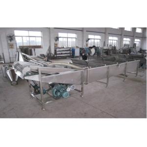 China 500Kg / H Fruits And Vegetable Processing With Chile Washer Machine For Spinach, Celery wholesale