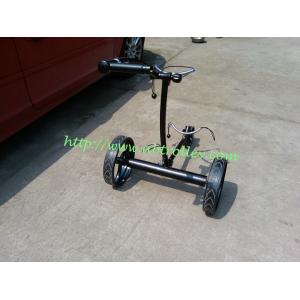 Black beauty High Degree Stainless steel Golf Trolley with double brushless motors