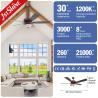 China Lighting and Circuitry Design 1stshine Ceiling Fan Light for Your Home Office Upgrade wholesale