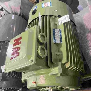 Low RPM High Efficiency Electric Motors For Packing Machinery