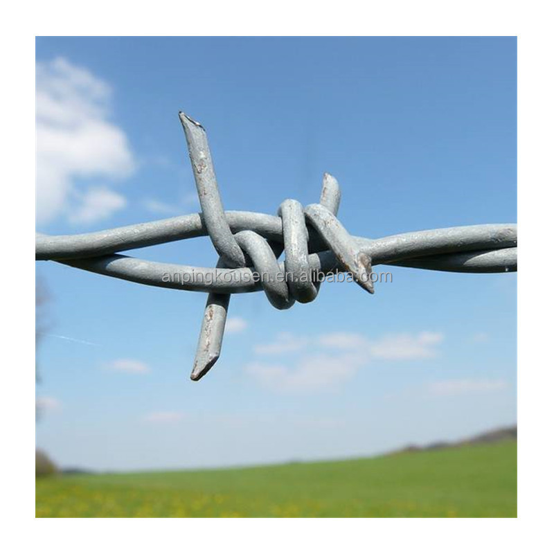 Galvanized Barbed Wire with Barb Distance 7.5cm-15cm and Wire Diameter 1.6-3.2mm