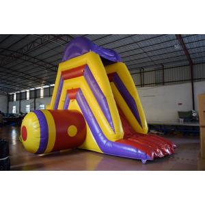 Big Commercial Inflatable Water Slides For Pool Short 5 - 8 Kids Capacity