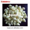 China Fully Automatic Garlic Processing Line With Food Grade Material wholesale