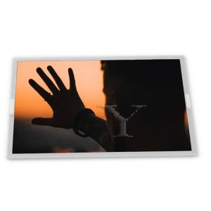 China 21.5-Inch WLED G215HVN01.3 TFT VA Panel RGB Interface 5 Inch LCM Interface 1920*1080 Resolution LCD Display Module supplier